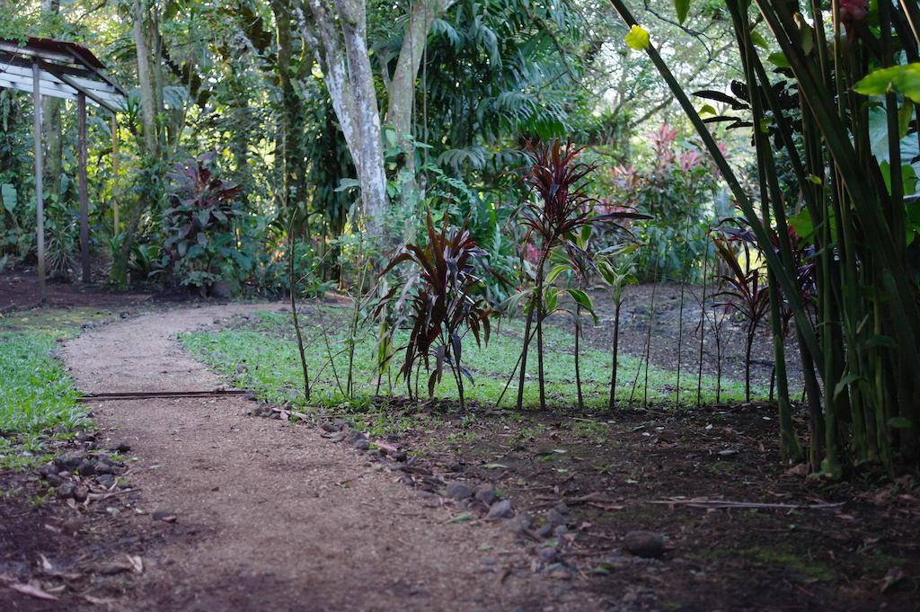Finca Verde Lodge Bijagua Exterior photo