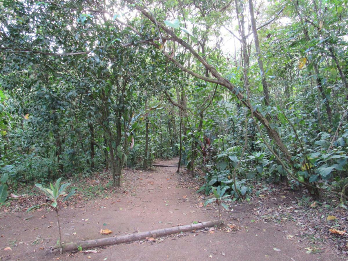 Finca Verde Lodge Bijagua Exterior photo